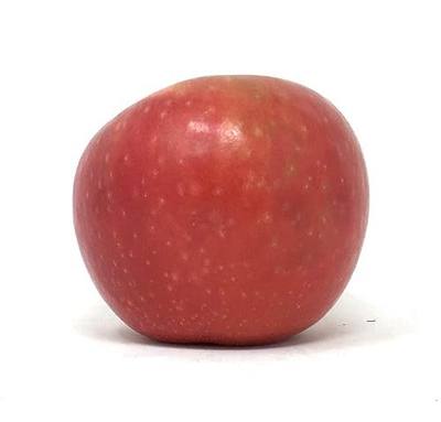 Sugarbee Apple