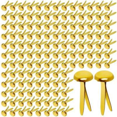 Paper Brass Fasteners, 3/4-Inch Metal Brass Brads Round Brads for Paper Crafts Making DIY, 300 Pack