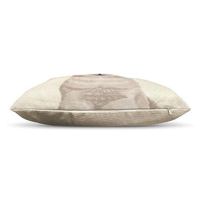 WIRESTER Sofa Pillow Case, Decorative Throw Pillow Cushion Cover for Home Office 18 x 18 Inch, Cute Lynx Point Lilac Siamese Cat