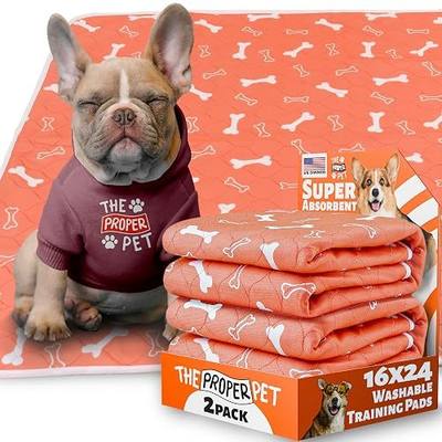 Reusable Puppy Potty Training Pad 16x24 - 2Pack Super Absorbent Washable Pee Pads for Dogs - Waterproof Cloth Whelping Blankets - Urine Leakage & Non-Slip Mat for Playpen Crate Carpet
