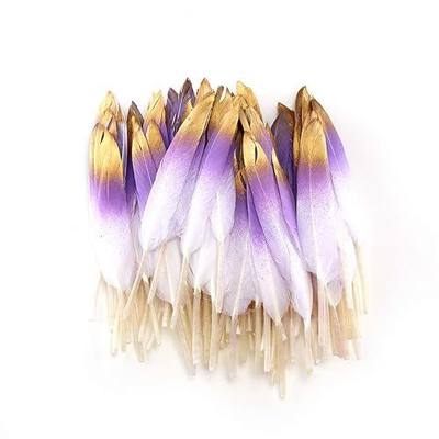 Sowder 50pcs Colorful Gold Goose Feathers 4-6inch(10-15cm) for Art Craft Party Decoration Clothing Accessories Duck Feather(Purple&Gold)