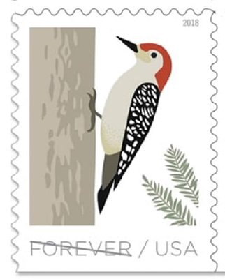 Birds in Winter Forever Stamps - booklet of 20 postage stamps