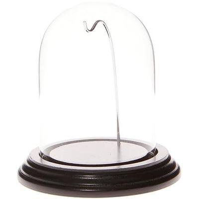 Plymor 3" x 4" Watch Glass Display Dome Cloche