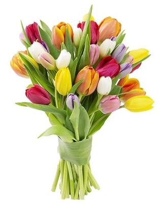 KaBloom-30 Assorted Tulip Bouquet,Flowers for Valentine, Mother's Day