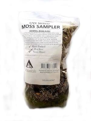 Live Mixed Moss Sampler - Premium Terrarium Grade - Pest Free (Quart)