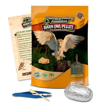Barn Owl Pellets Classroom 1 Pack (Large) – Dissection Kit for Ecology & STEM – Includes Forceps, Picks & Teacher Guide – Hands-On Science Activity