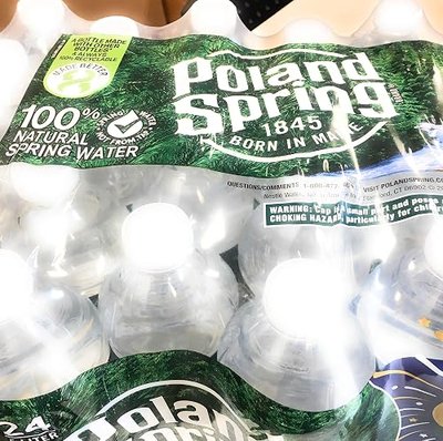 POLAND SPRING Spring Water 24 Pack, 16.9 FZ