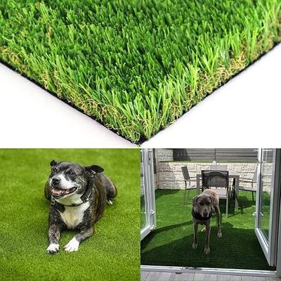 Realistic Artificial Grass Turf - 6FTX8FT(48 Square FT) Indoor Outdoor Garden Lawn Landscape Synthetic Grass Mat