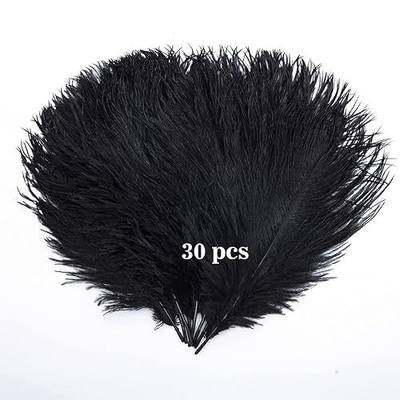 Hollosport 30PCS Bulk Black Ostrich Feathers 10-12 Inches for Centerpieces Party Wedding Home Decorations Dream Catchers Vases Crafts (Black)