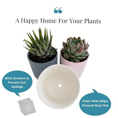 Soil & Style 3.3 Inch Succulent Pots with Drainage, 3 Piece Succulent Planter Set, Small Plant Pot, Succulent Pot Set