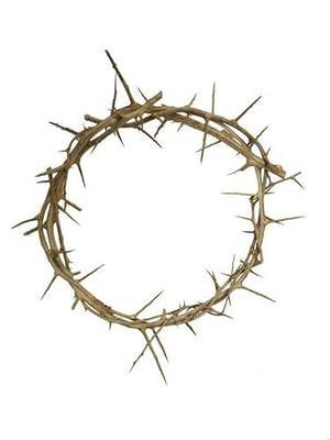 Bethlehem Gifts TM Life Size Crown of Thorns Replica from the Holy Land (8")