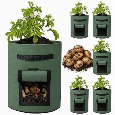 Delxo 5 Pack 10 Gallon Potato Grow Bags, Garden Planting Growing Bag with Flap, Double Layer Breathable Nonwoven Cloth for Potatoes/Planter/Vegetable/Tomato Fabric Pots with Handles Green