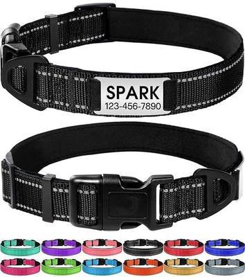 Joytale Personalized Dog Collar with Name Plate Built-in for Small Dogs