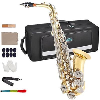 EASTROCK Alto Saxophone E Flat Antique Finished Sax Full Kit for Students Beginner with Carrying Case,Mouthpiece,Mouthpiece Cushion Pads,Cleaning Cloth&Cleaning Rod,White Gloves,Neck Strap