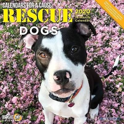 2020 Rescue Dogs Wall Calendar by Bright Day, 16 Month 12 x 12 Inch, Cute Puppy Animals for a Cause Canine Sherpherd Terrier Collie