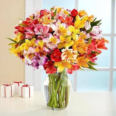 BloomsyBox. 24 Multicolored Alstroemeria Bouquet Flowers, Long Lasting & Hand-Tied, Farm Fresh Cut Flowers Bouquet - Gift for Birthday, Anniversary, Mothers Day Flowers | No Vase |