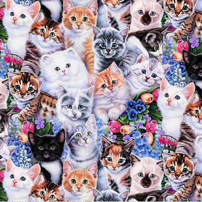 Garden Kittens Print 100% Cotton Fabric Material by the Yard for Sewing, by David Textiles, 44 Inches Wide