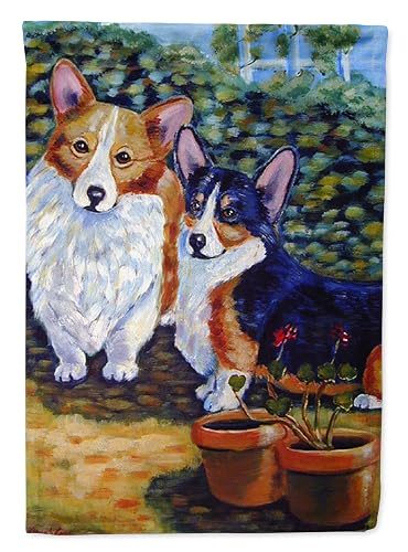 Caroline's Treasures 7094GF Cardigan and Pembroke Corgi Garden Flag Mailbox Flag Decorative Yard Flag Banner Outside Patio Artwork Yard Flower Beds, Garden Size, Multicolor
