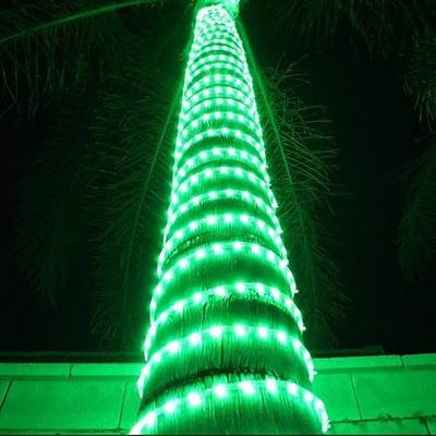 Russell Decor Rope Lights Festival Party Christmas Decor Green 100' | Festival Holiday Party Wedding Seasonal Christmas Decoration Super Bright and Flexible waterproof
