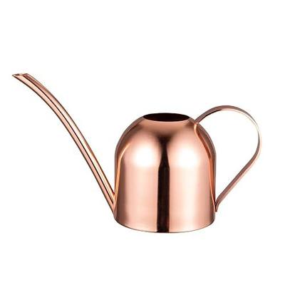 IMEEA Mini Indoor Watering Can for Small Plants, Stainless Steel with Long Spout, 15oz/450ml – Perfect for Desk, Windowsill & Bonsai