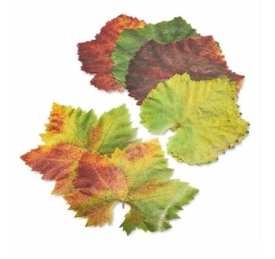 Parchment Paper Leaves for Cheese & Charcuterie Boards - Sisson Distribution Leaves (Pack of 20) (Grape Variety). Made in USA with French Parchment Paper.
