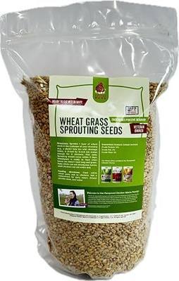 Non-GMO Fodder Seeds for Chickens (3 pounds), Pasture Grass Seed, Wheat Grass Seeds for Growing, Wheat Seeds for Fodder | Pampered Chicken Mama