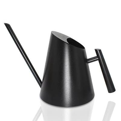 Cesun Black Watering Can Indoor Plants - Small Stainless Water Can with Long Straight Spout, Metal Watering Pot for House Bonsai & Flowers, Matte Black (30 oz)