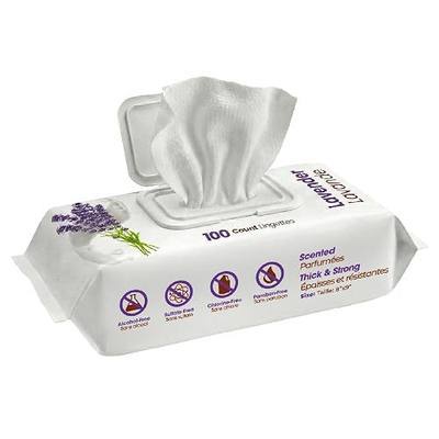 Best Pet Supplies 8" x 9" Large Dog Wipes - Cleaning and Deodorizing for Paws and Coat - Gentle Formula with Lavender Vitamin E for Puppies and Cats - 100 Count