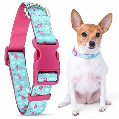 Parisian Pet Flamingo Dog Collar - Adjustable Light Blue and Pink Girl Pet Collar with Secure Buckle and Metal D-Ring - Comfortable Designer Puppy Collars - Durable Nylon Dog Collars for Small Dogs