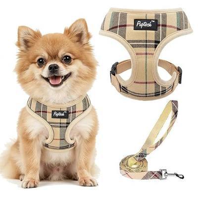 PUPTECK Soft Mesh Dog Harness Small Sized and Leash Set Pet Puppy Cat Comfort Padded Vest No Pull Harnesses, Beige, S