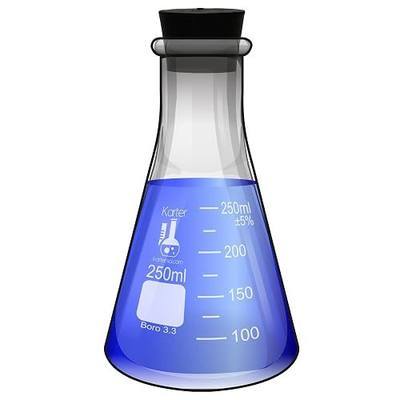 250ml Narrow Mouth Erlenmeyer Flask with Rubber Stopper, 3.3 Borosilicate Glass, Karter Scientific (Single)