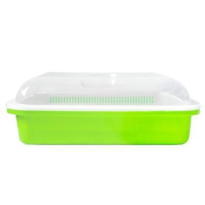 Seed Sprouter Tray, Wheatgrass Grower with Lid Germination Kit Extra Small Hole for Seed Germination 13" L×10.3" W×4.5" H