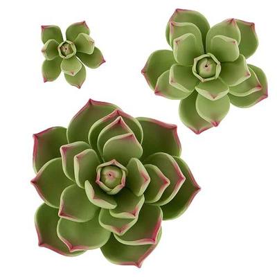 Global Sugar Art 3-Count Parva Succulent, Assorted Sizes, Sugar Succulents | Gum paste succulents, gumpaste succulents, succulent cake topper, sugar succulents for cake decorating, gumpaste succulent