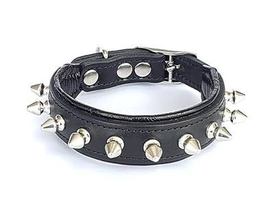 Bestia Spiky Studded Leather Dog Collar, Blunt Tips, Small Dogs & Puppies
