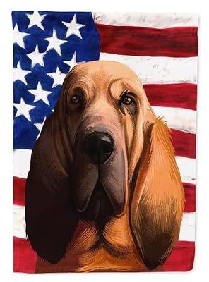 Caroline's Treasures CK6440GF Bloodhound Dog American Flag Garden Flag Mailbox Flag Decorative Yard Flag Banner Outside Patio Artwork Yard Flower Beds, Garden Size, Multicolor