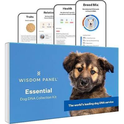 Wisdom Panel Essential Dog DNA Testing Kit - Most Accurate Test for 430+ Dog Breeds, 30 Genetic Health Conditions, 50+ Traits, Relatives, Ancestry, 1 Pack