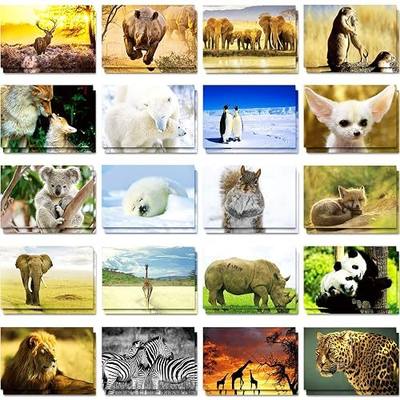 Outus 60 Pcs Wild Animal Postcards Bulk, 20 Designs, 4 x 6 in, Blank Write-In Cards
