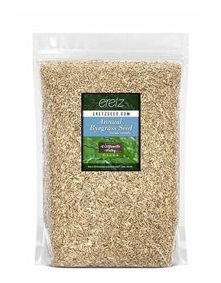 Annual RyeGrass Seed by Eretz - Willamette Valley, Oregon Grown. No fillers, No Weed or Other Crop Seeds (5lb)