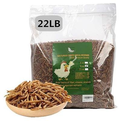 HANDPOINT 22 lbs Dried Mealworms, 100% Non-GMO Natural High-Protein,Treats for Chicken, Fish, Bird Food(22LB)