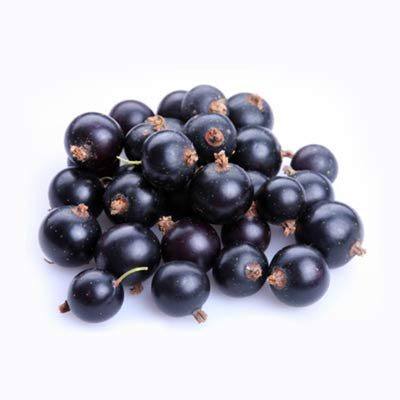 Fresh Frozen Organic Black Currants by Northwest Wild Foods - Healthy Fruit Diet - for Smoothies, Pies, Jams, Syrups (4.5 Pounds)
