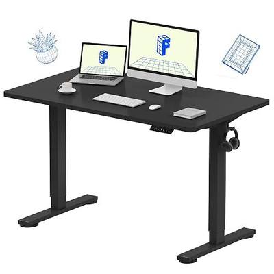 FLEXISPOT EN1 One-Piece Standing Desk, Electric Adjustable with 4 Memory Presets, 176 LBS Capacity, Stable & Quiet, Seamless Desktop for Home Office & Dual Monitors, 48"x24" Black