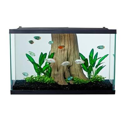 Tetra Glass Aquarium 29 Gallons, Rectangular Fish Tank