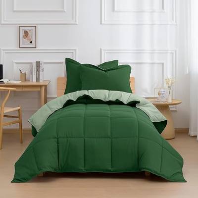 3pc Green Twin/Twin XL Back to School Bedding Comforter Set | All Season Use, Reversible, Lightweight, Box Stitched, 4 Corner Tabs, Breathable, Soft, Machine Washable