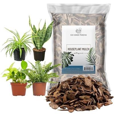 Houseplant Mulch (8 Quarts), Small Bark Wood Chips for Indoor, Patio, Potting Media, and Much More!