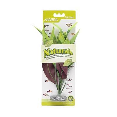 Marina Naturals, Green Pickerel Silk Plant