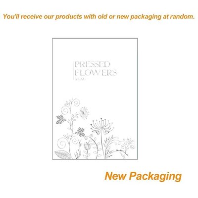 XUXU 120pcs Real Dried Pressed Flowers Leaves Petals for Crafts, Colorful Pressed Flowers Daisies for Candle Jewelry Nail Pendant Crafts Making, Dried Flowers for Resin Art Floral Decors