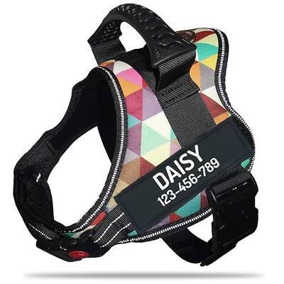 Personalized No Pull Dog Harness with Custom Name and Phone Number By PawPawify, Heavy Duty Pet Vest to Prevent Tugging, Pulling, or Choking, Training and Walking Color Grid