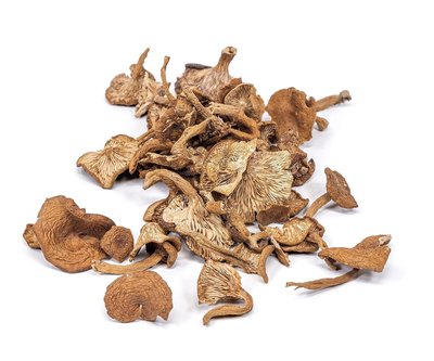 West Coast Wild Foods | Dried Wild Mushrooms (Candy Cap, 0.5oz - 14g)