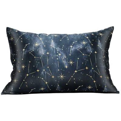 MANSPHIL 100% Mulberry Silk Pillowcase for Hair and Skin, Black Galaxy Pattern - Premium 22 Momme Charmeuse Silk Pillow Cases Cover, Queen Size/20" x 30", Hidden Zipper