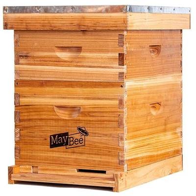 Beehive 10 Frame Bee Hives and Supplies Starter Kit, Bee Hive for Beginner, Honey Bee Hives Includes 1 Deep Brood Hive Box, 1 Bee Hive Super Box with Beehive Frames and Foundations